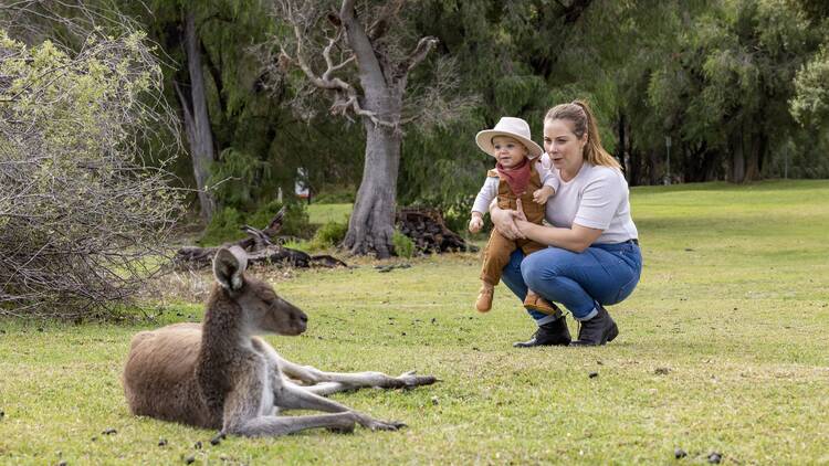 Yanchep