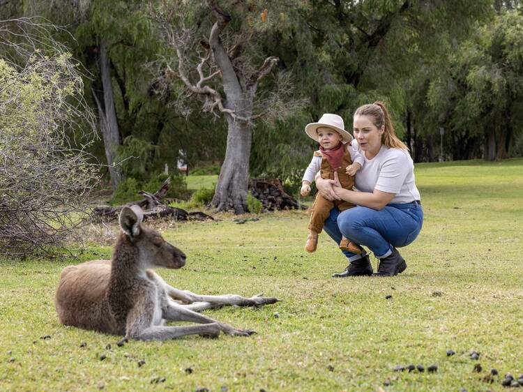 Yanchep