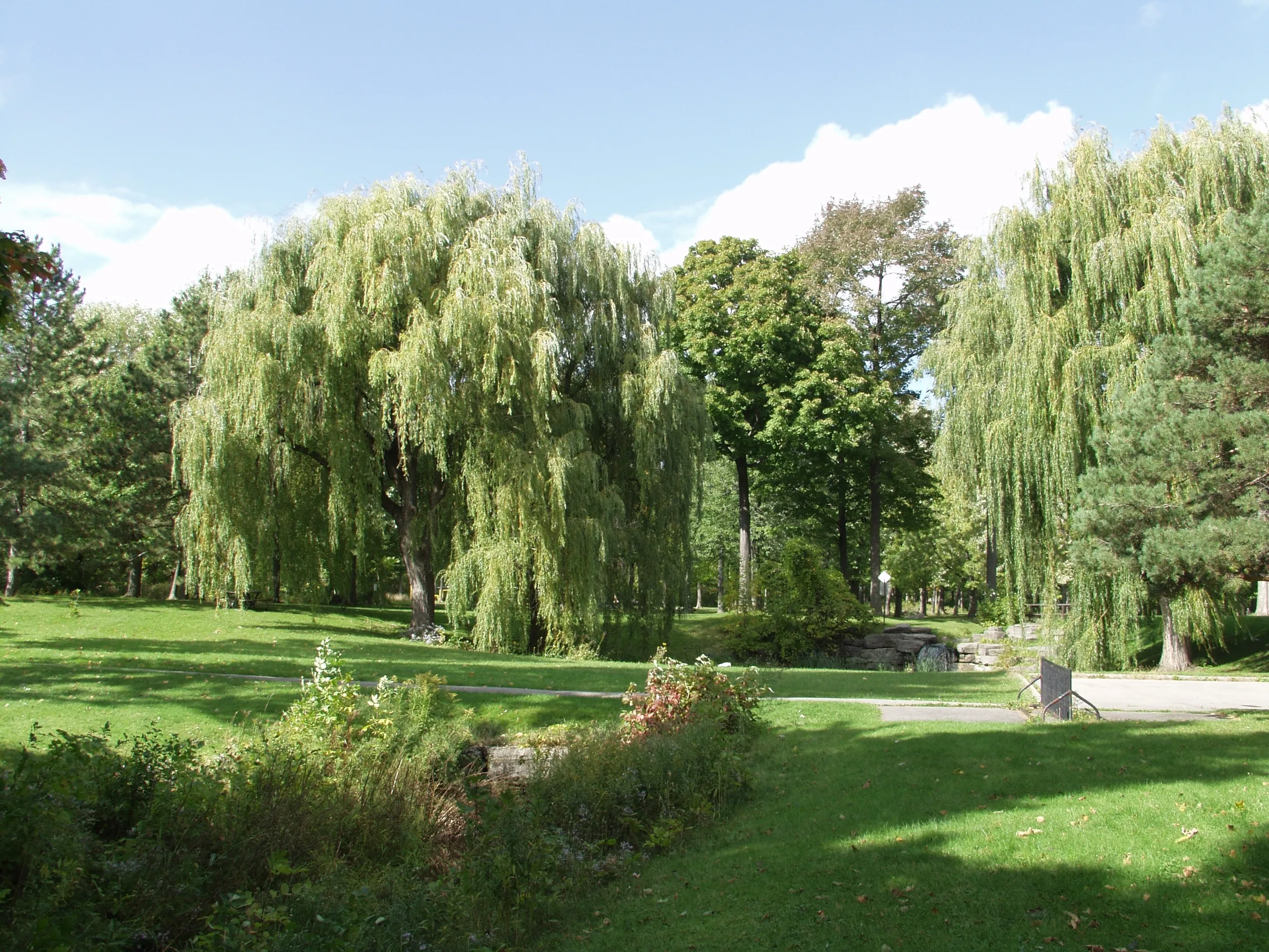 Angrignon park