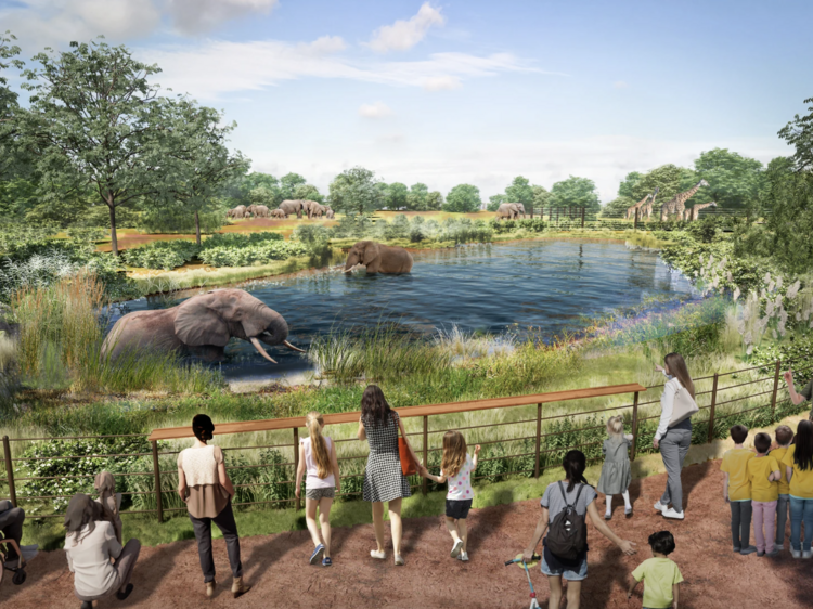 Take a look at the soon-to-be upgraded Brookfield Zoo Chicago