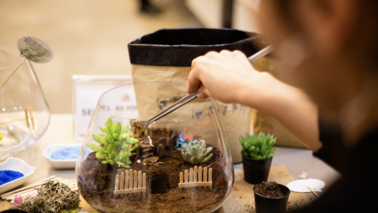 Terrarium Making At Your Office