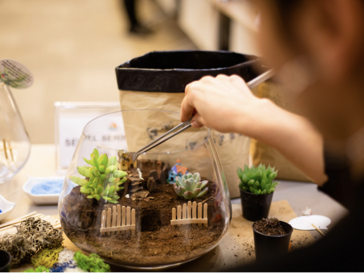 Terrarium Making At Your Office