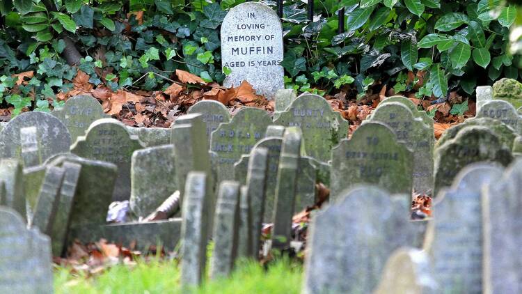 Hyde Park Pet Cemetery