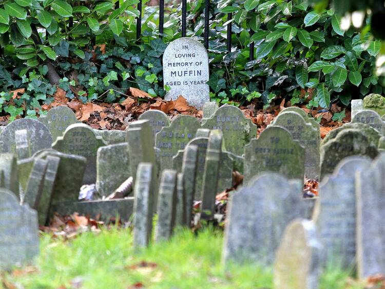 Book a private visit to Hyde Park’s Victorian Pet Cemetery