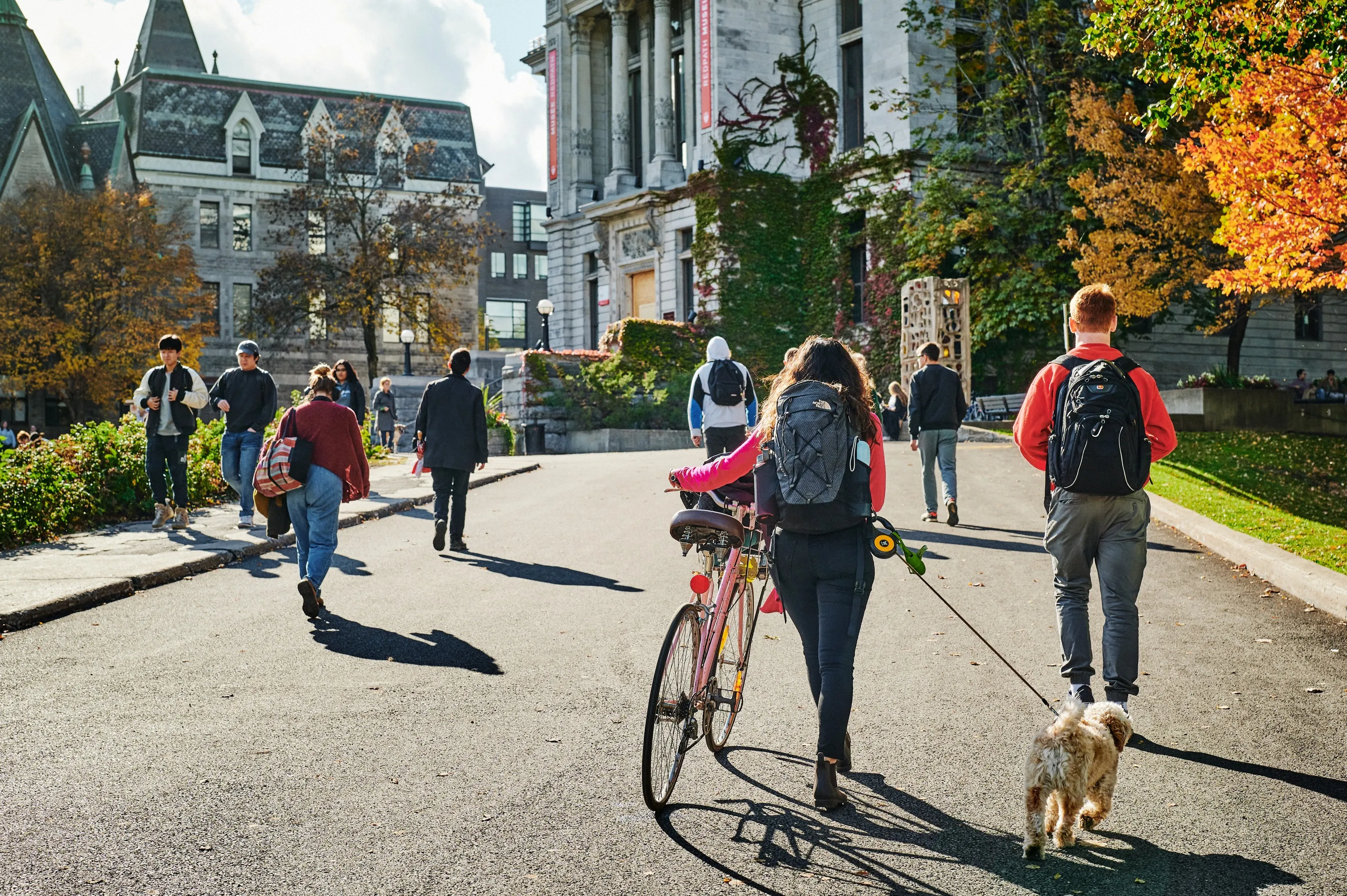 McGill University