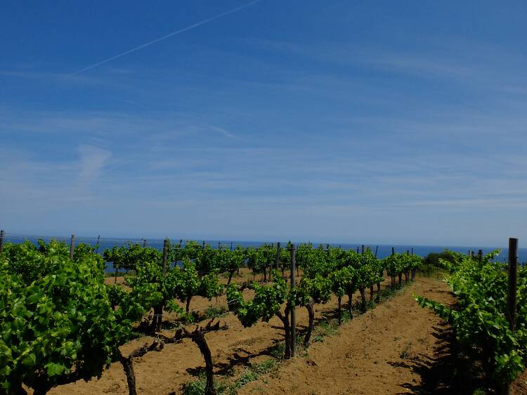 Le Maresme : mer, vins et modernisme à deux pas de Barcelone