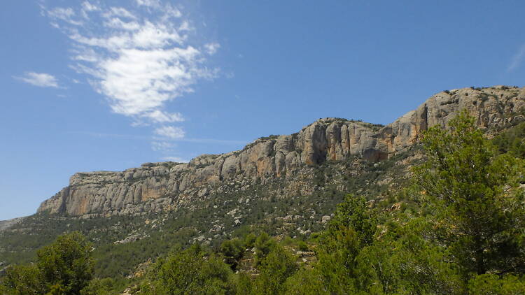 Le Priorat : vin, nature et astronomie