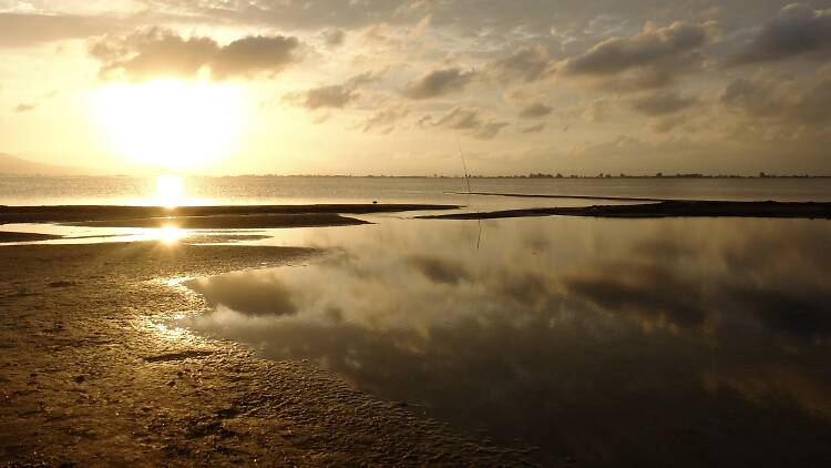 Delta de l'Ebre, le bras qui regarde la mer