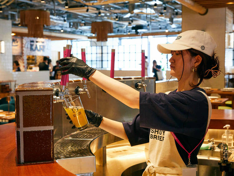 渋谷産ビールで乾杯する。