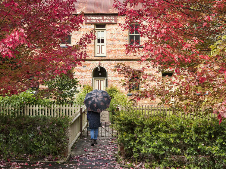 Windsor House, Walhalla