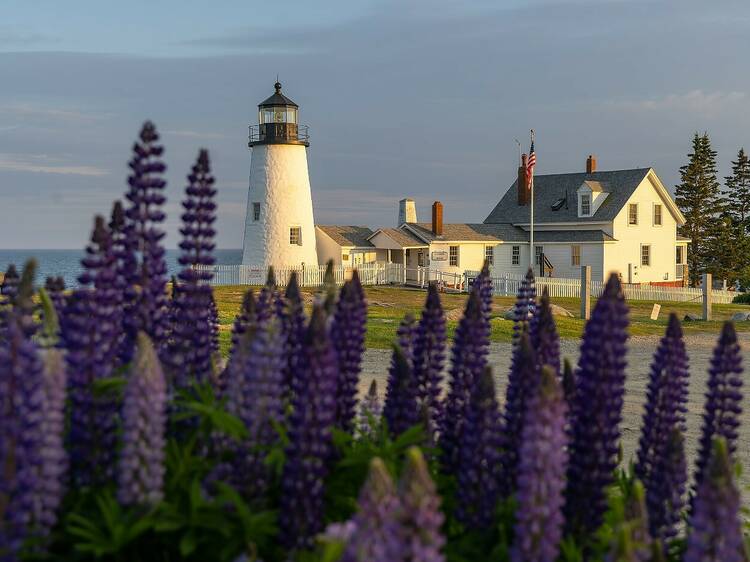 lighthouse Pemaquid Point