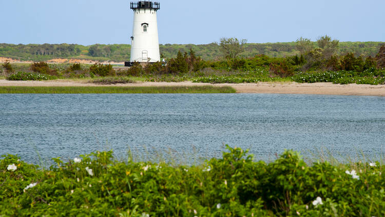 Martha's Vineyard, MA