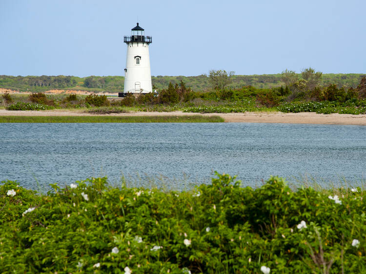 Martha's Vineyard, MA