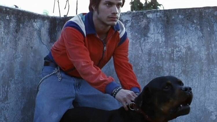 Amores Perros (Alejandro González Iñárritu, 2000)