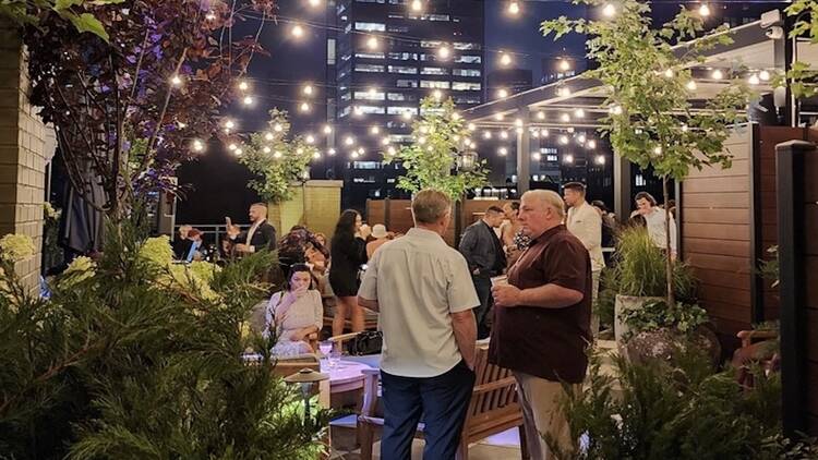 Vintage Green Rooftop late at night, with plants and people 