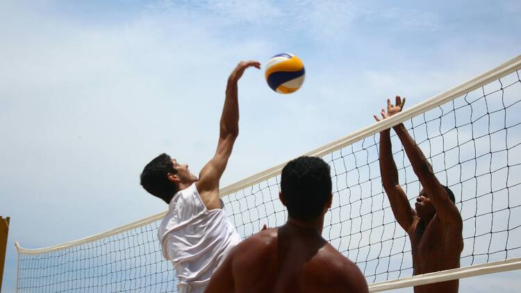 Voleibol