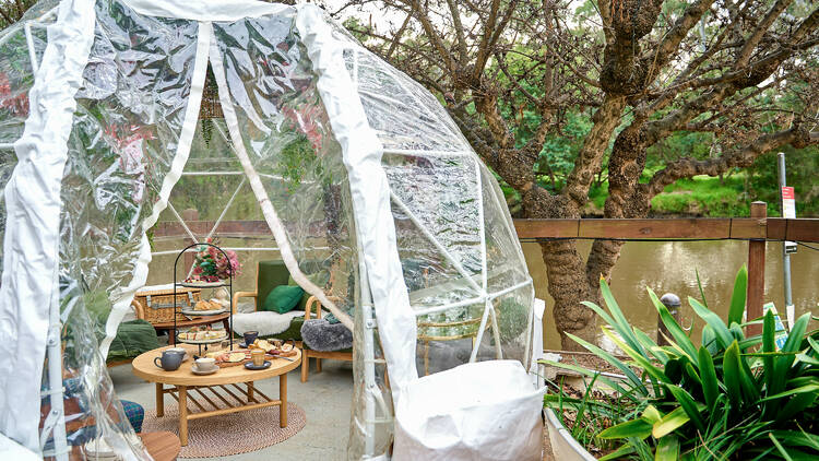 High tea spread inside a pop-up igloo at Studley Park.