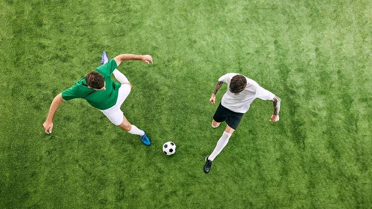 Soccer players on a field