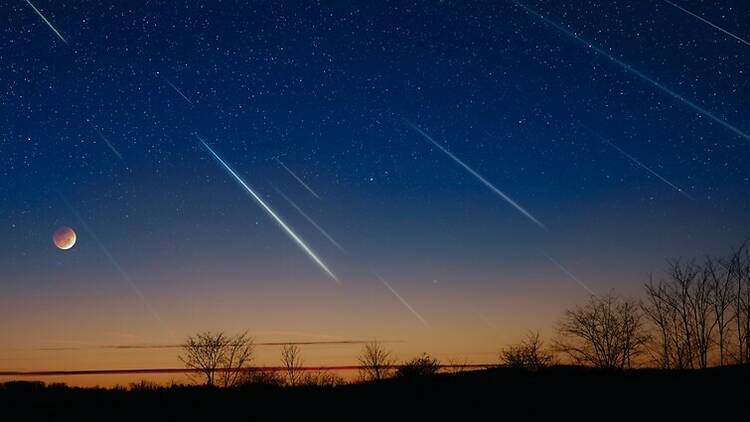 Meteor showers in the night sky