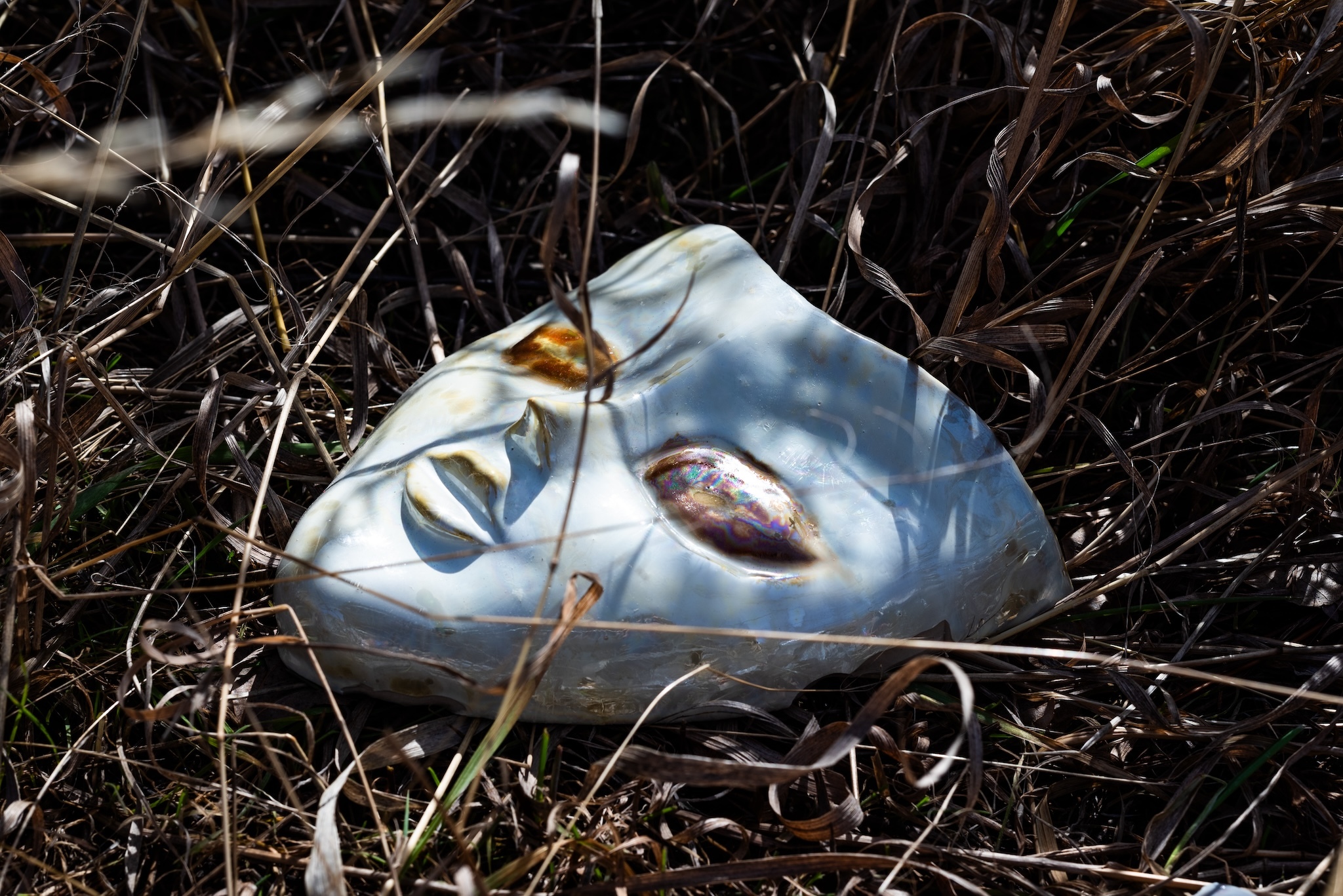 A theater mask in the grass, artwork by Alejandro García Contreras