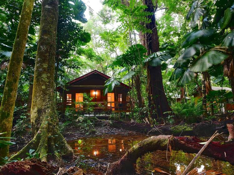 Sleep under an ancient canopy at Cape Trib Beach House