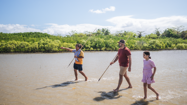 Discover the Indigenous significance of the Daintree