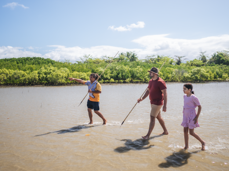 Discover the Indigenous significance of the Daintree