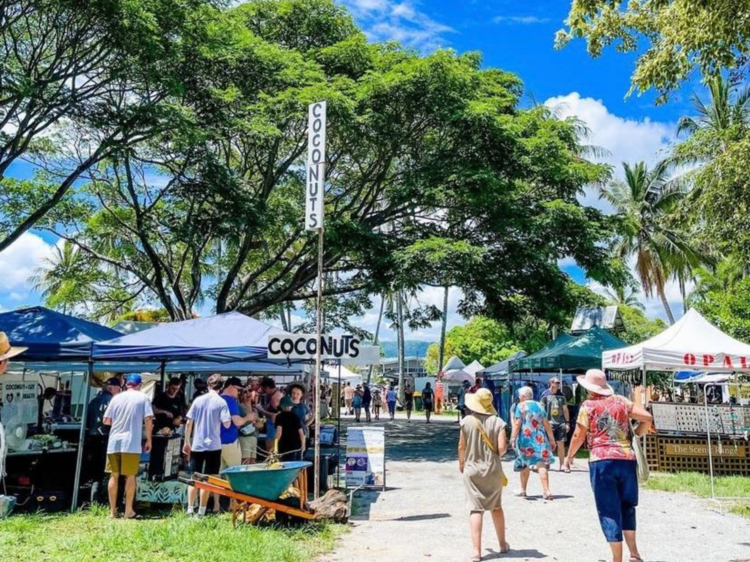 Explore Port Douglas Markets