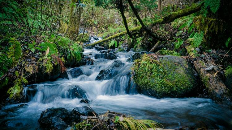 Chase waterfalls