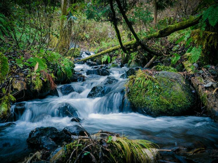 Chase waterfalls