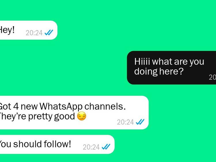 Time Out London is now on WhatsApp – here’s how to follow us