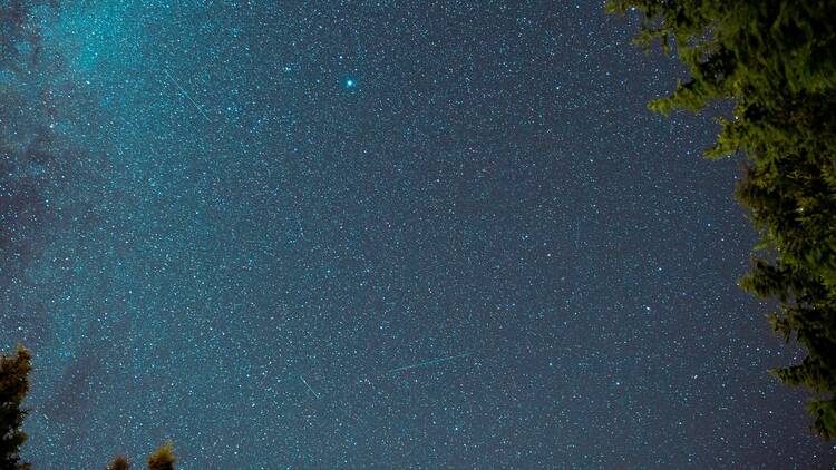 Get starry-eyed at Low Gillerthwaite Field Centre