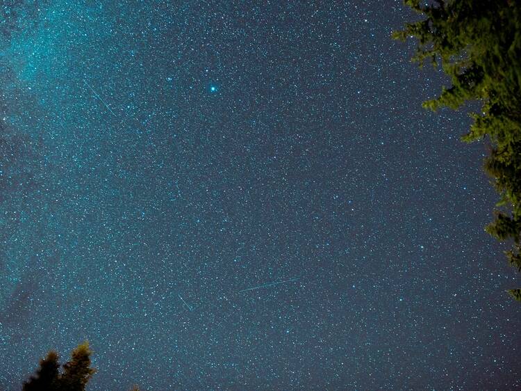 Get starry-eyed at Low Gillerthwaite Field Centre