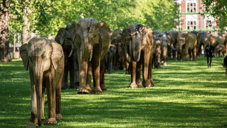 A heard of elephant statues in Newport, RI