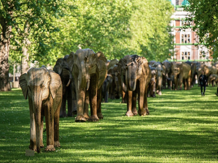 100 life-size elephants