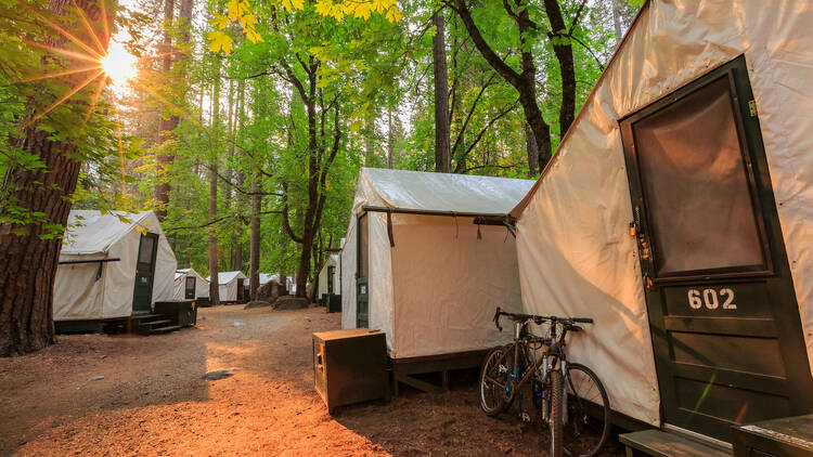 Yosemite National Park Campground