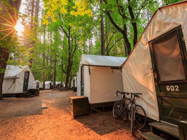 Yosemite National Park Campground