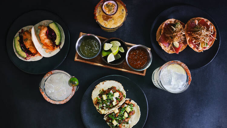 Malacopa Taco Bar