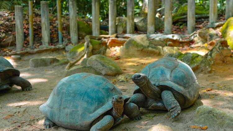 Aldabra, Seychelles