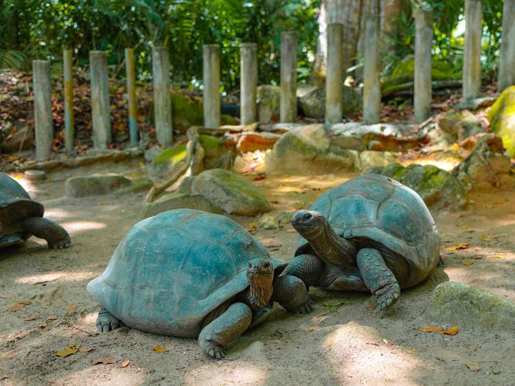 Aldabra, Seychelles