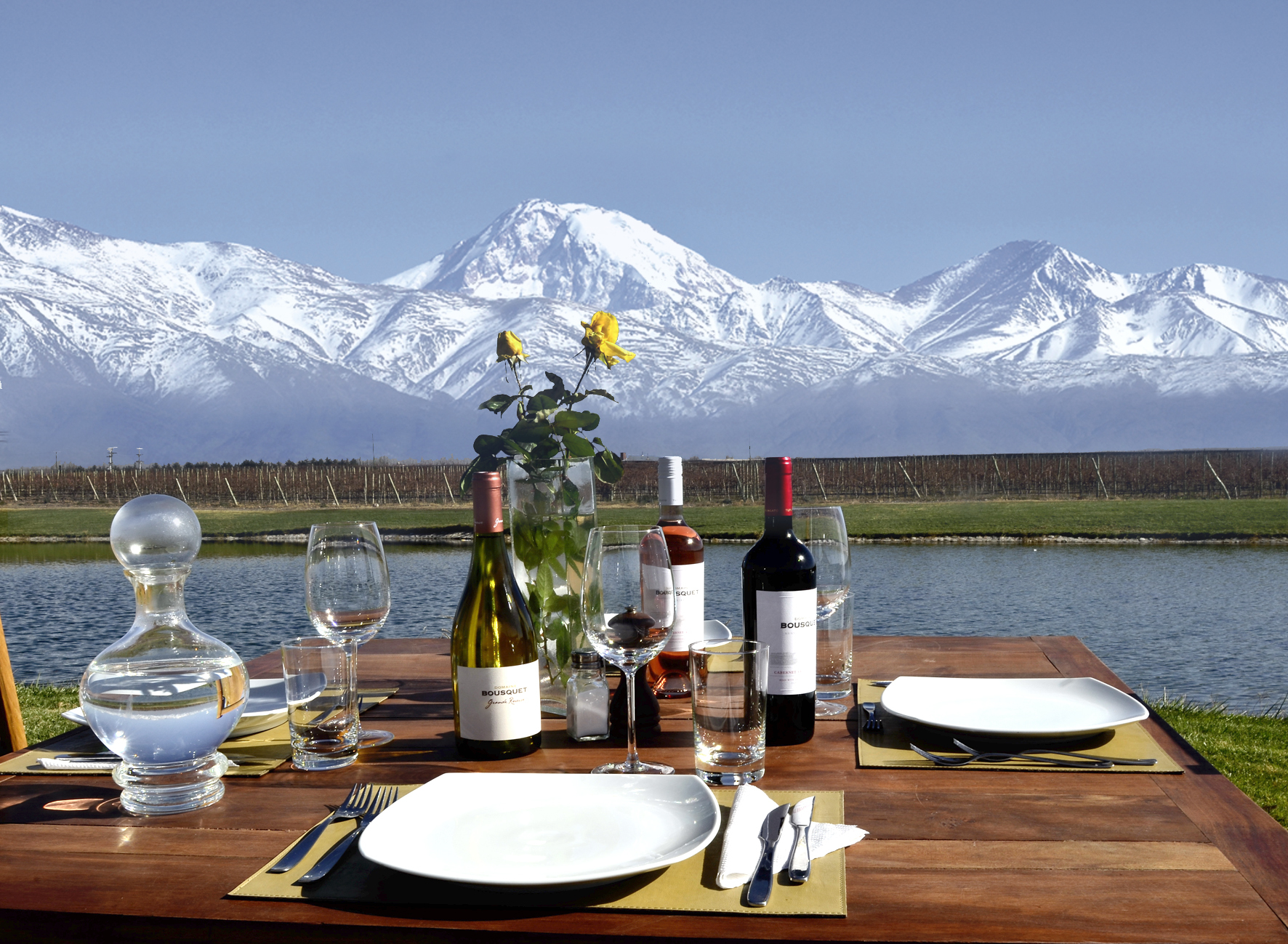 Vineyard lunch