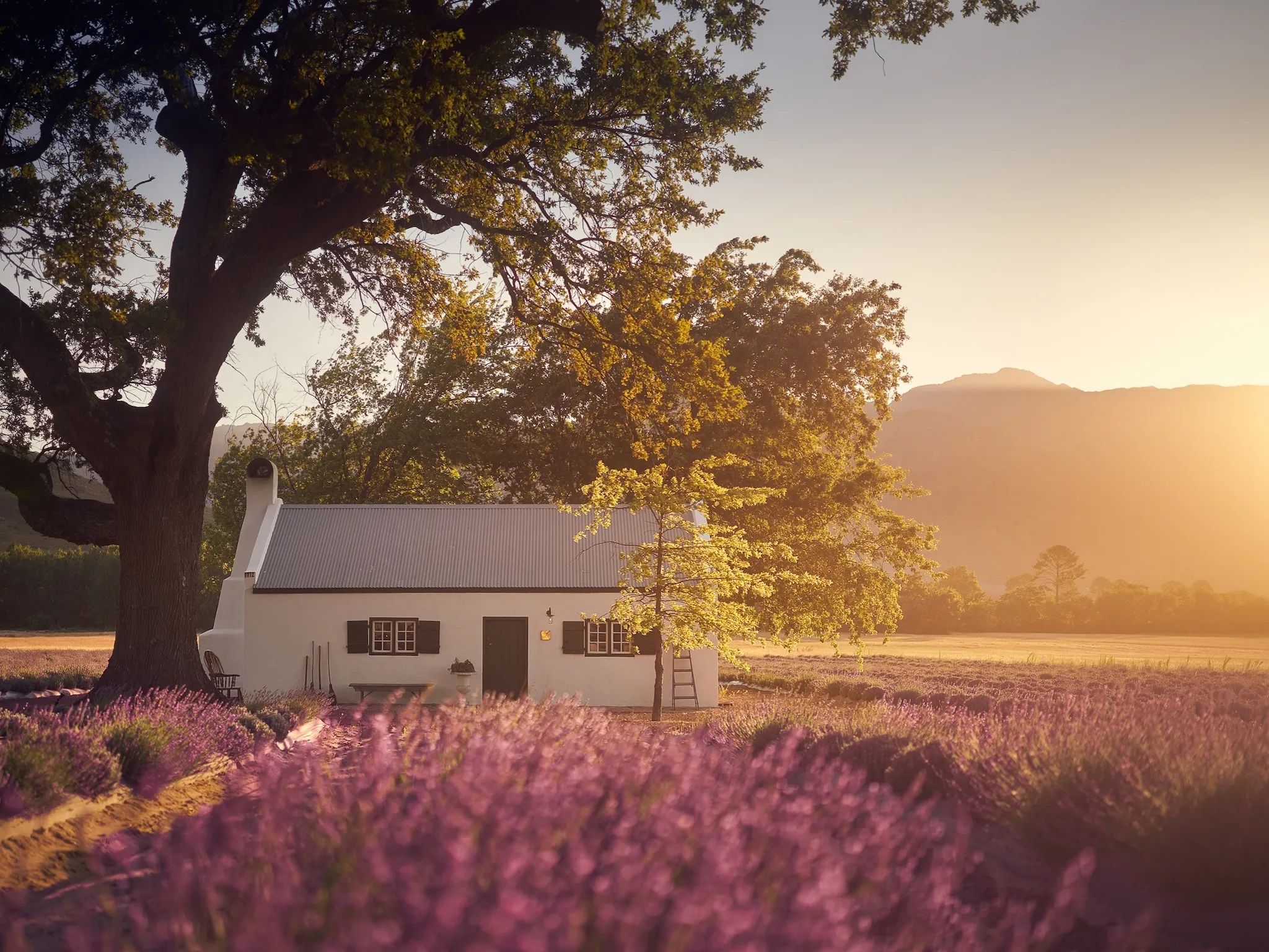 JAN Franschhoek