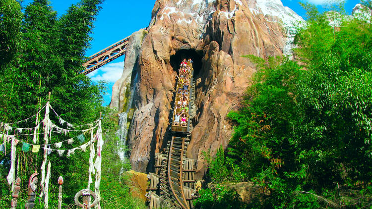 Expedition Everest, Animal Kingdom