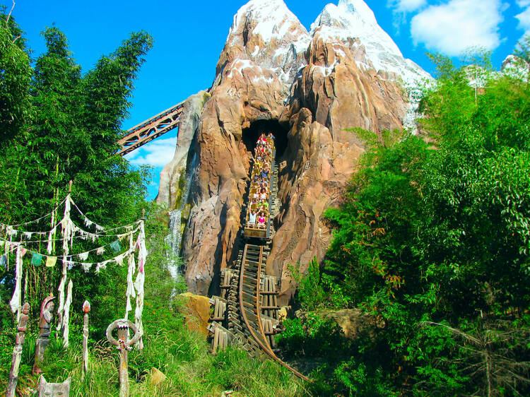 Expedition Everest, Animal Kingdom