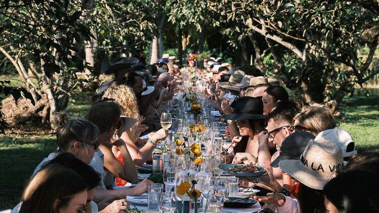 People sit at a long white table filled with glassware and dinner plates outside near treesi