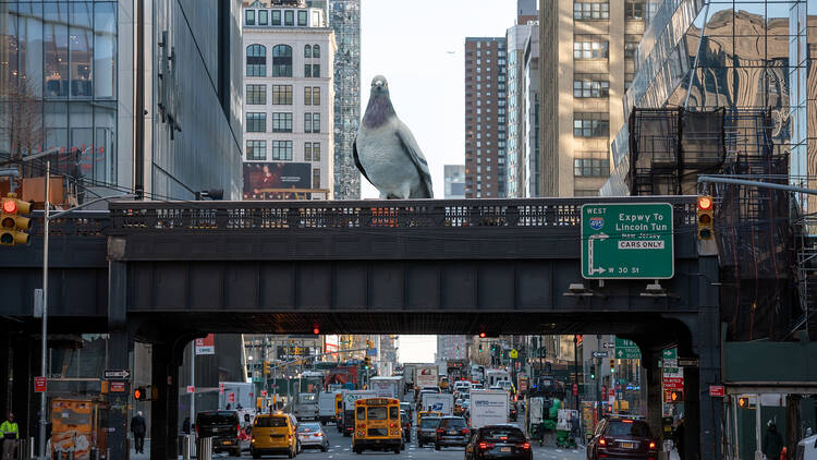 A rendering of "Dinosaur," a pigeon sculpture, on the High Line.