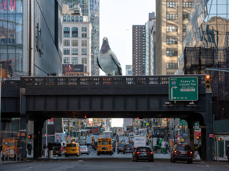 Dinosaur, a pigeon sculpture