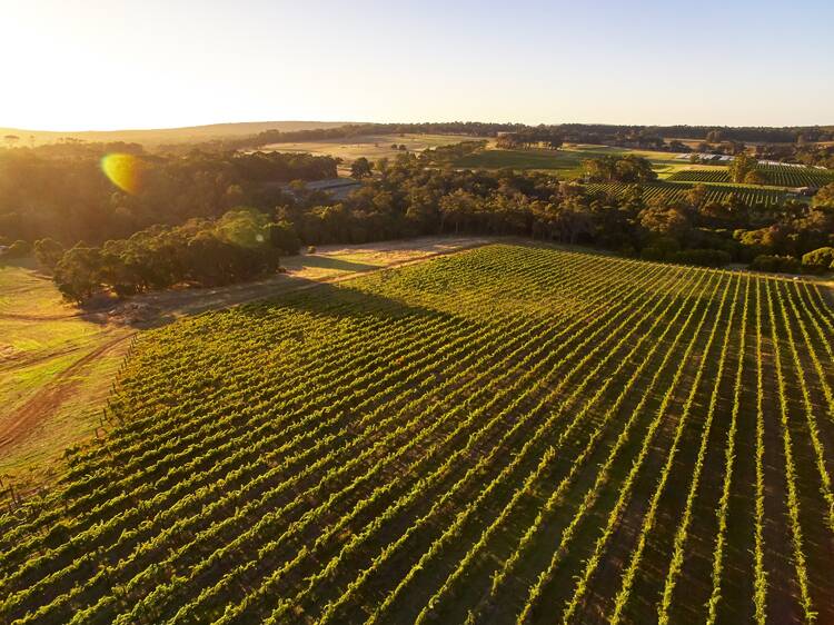 Pair’d Margaret River Region