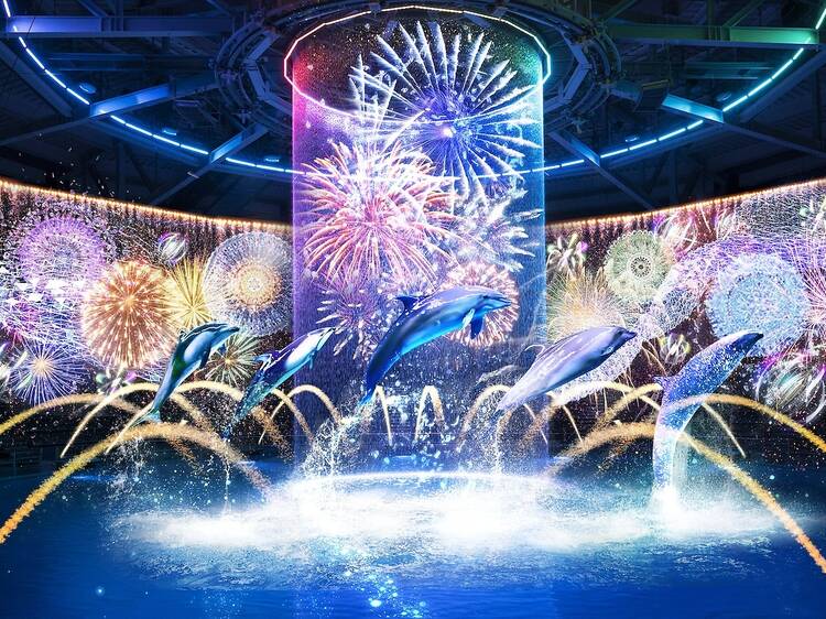 東京、8月に行くべき水族館イベント3選