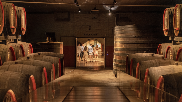 Penfolds Barossa Valley Cellar Door